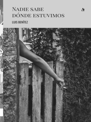 cover image of Nadie sabe dónde estuvimos